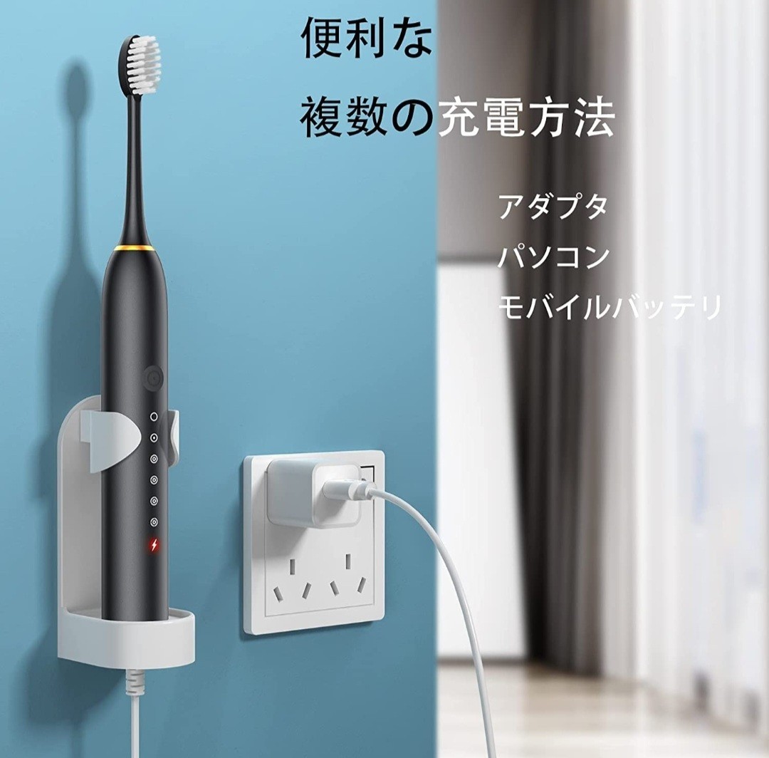 歯ブラシ 音波歯ブラシ セット買い 替えブラシ6本 IPX7防水  ケース付き ソニック 電動歯磨き USB充電 