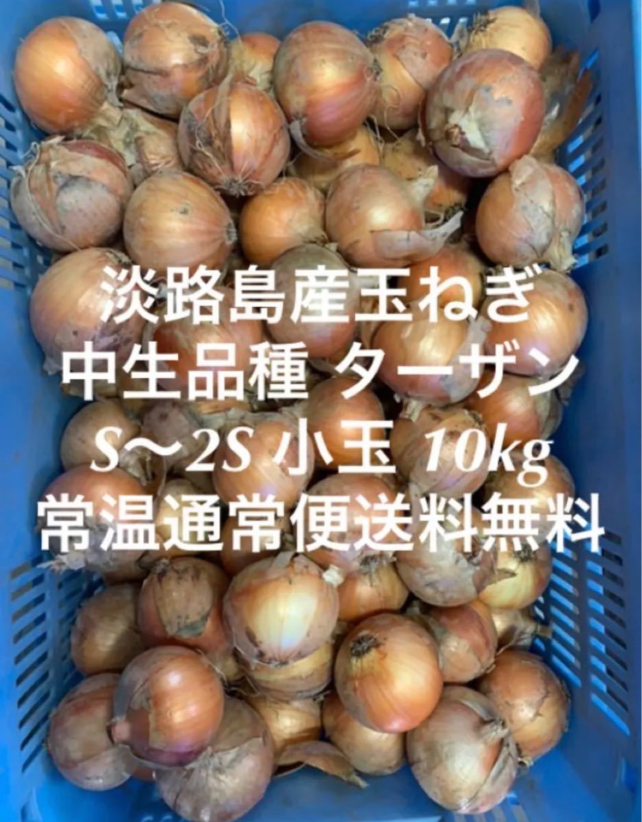 組み合わせ自由自在 500本!淡路島産玉ねぎ苗ターザン!送料無料