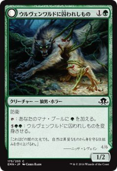 MTG ウルヴェンワルドに囚われしもの コモン マジック:ザ・ギャザリング 異界月 EMN-175 同梱可_画像1