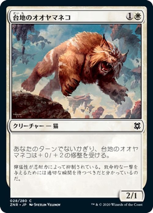 MTG マジック：ザ・ギャザリング ギャザ 台地のオオヤマネコ コモン ゼンディカーの夜明け ZNR-028 日本語版 クリーチャー 白_画像1