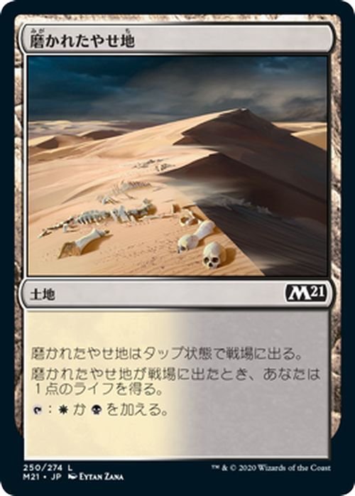 MTG マジック：ザ・ギャザリング 磨かれたやせ地 基本土地 基本セット2021 ギャザ M21250 日本語版 土地 土地_画像1