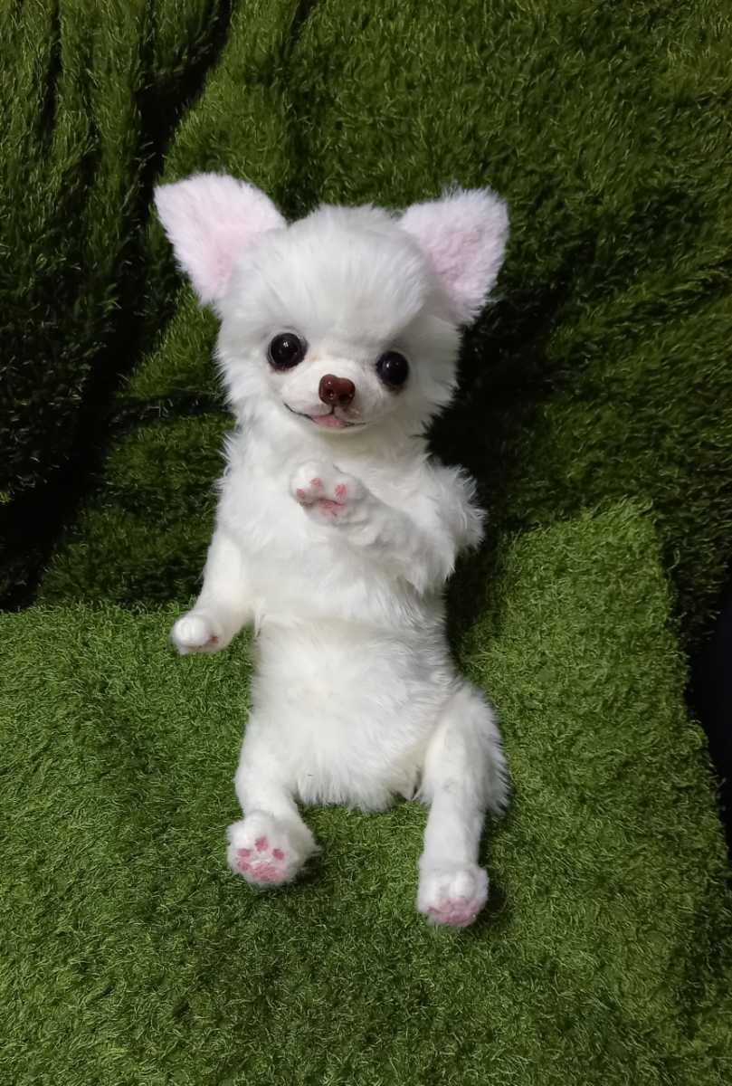 実物サイズ チワワ 犬 ぬいぐるみ 作家 羊毛フェルト メモリアル 実物サイズ チワワ 犬 ぬいぐるみ 作家 羊毛フェルト メモリアル