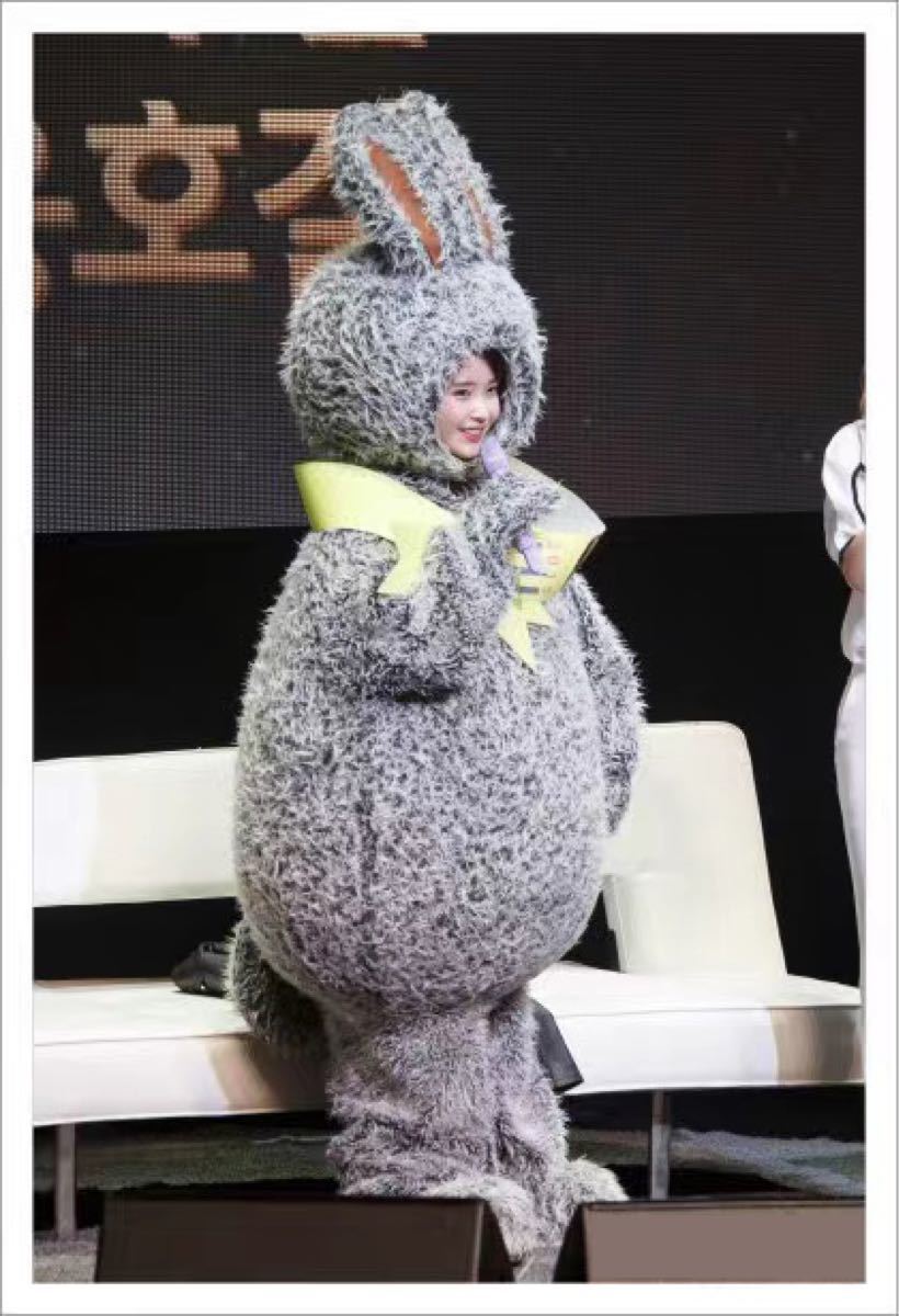 IU ぬいぐるみ 20cm マスタニム タイムユ 韓国 아이유