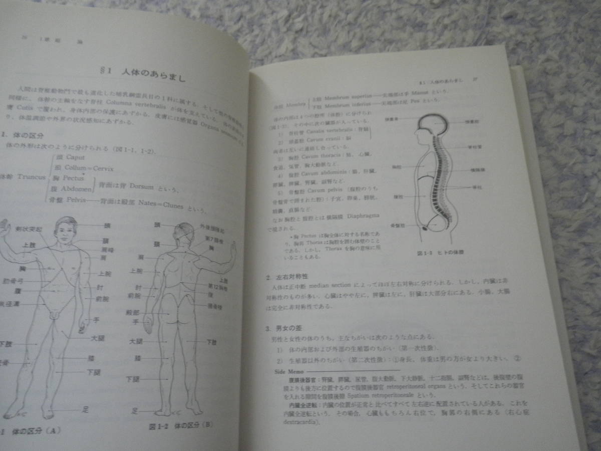改訂３版小解剖学書　清木勘治