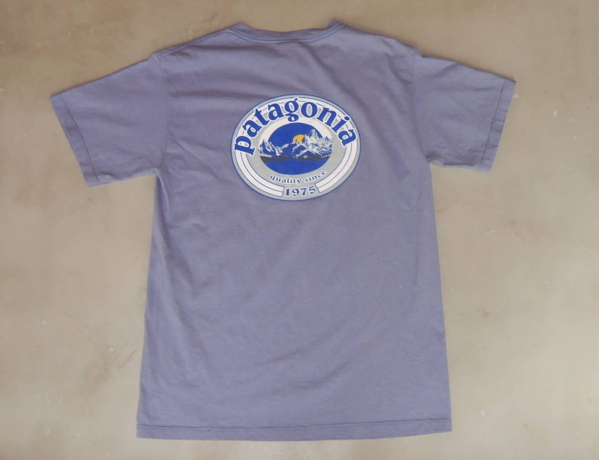 春早割 パタゴニアpatagoniaベネフィシャルTシャツ希少コットン100