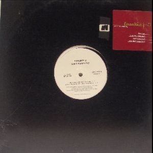 12inchレコード　FRANKIE J / DON'T WANNA TRY (REMIXES)_画像1