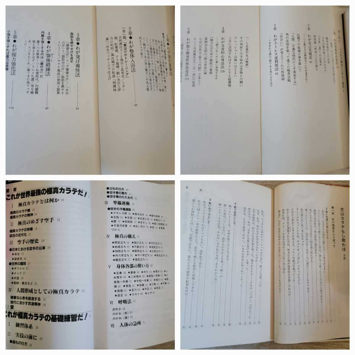 【古書】極真空手 関連書籍 10冊セット販売_画像6