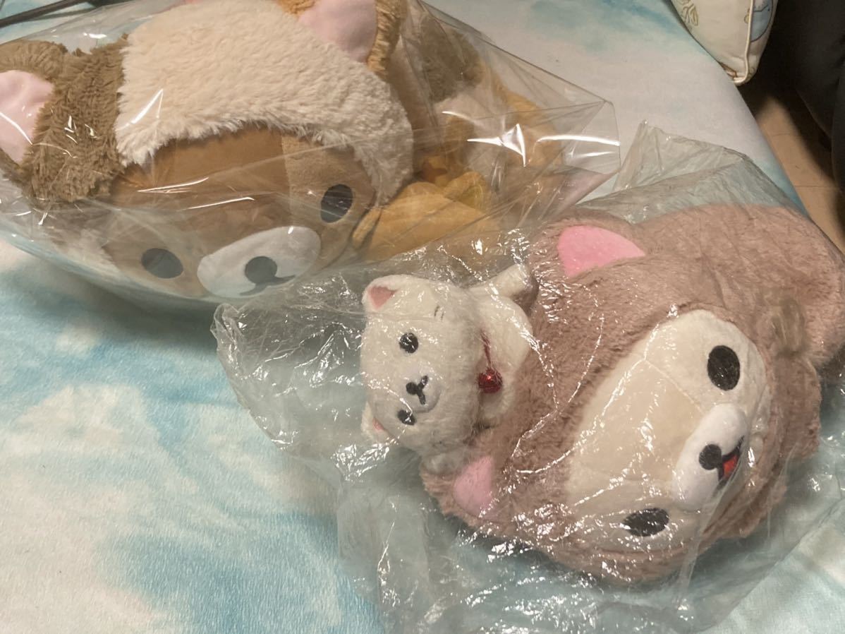 リラックマ コリラックマ サンエックスネットショップ限定 スペシャル