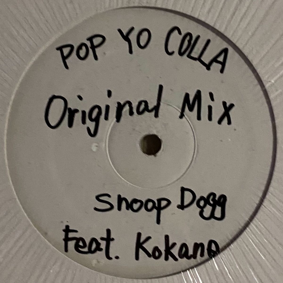 激安挑戦中激安挑戦中Snoop Dogg Ego Trippin レコード盤 洋楽 | blog