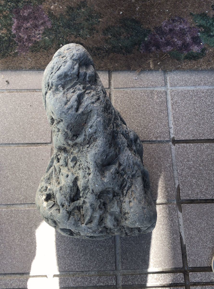 八海石 アクアリウム ADA 水石 鑑賞石 石組レイアウト 盆石 - ペット用品