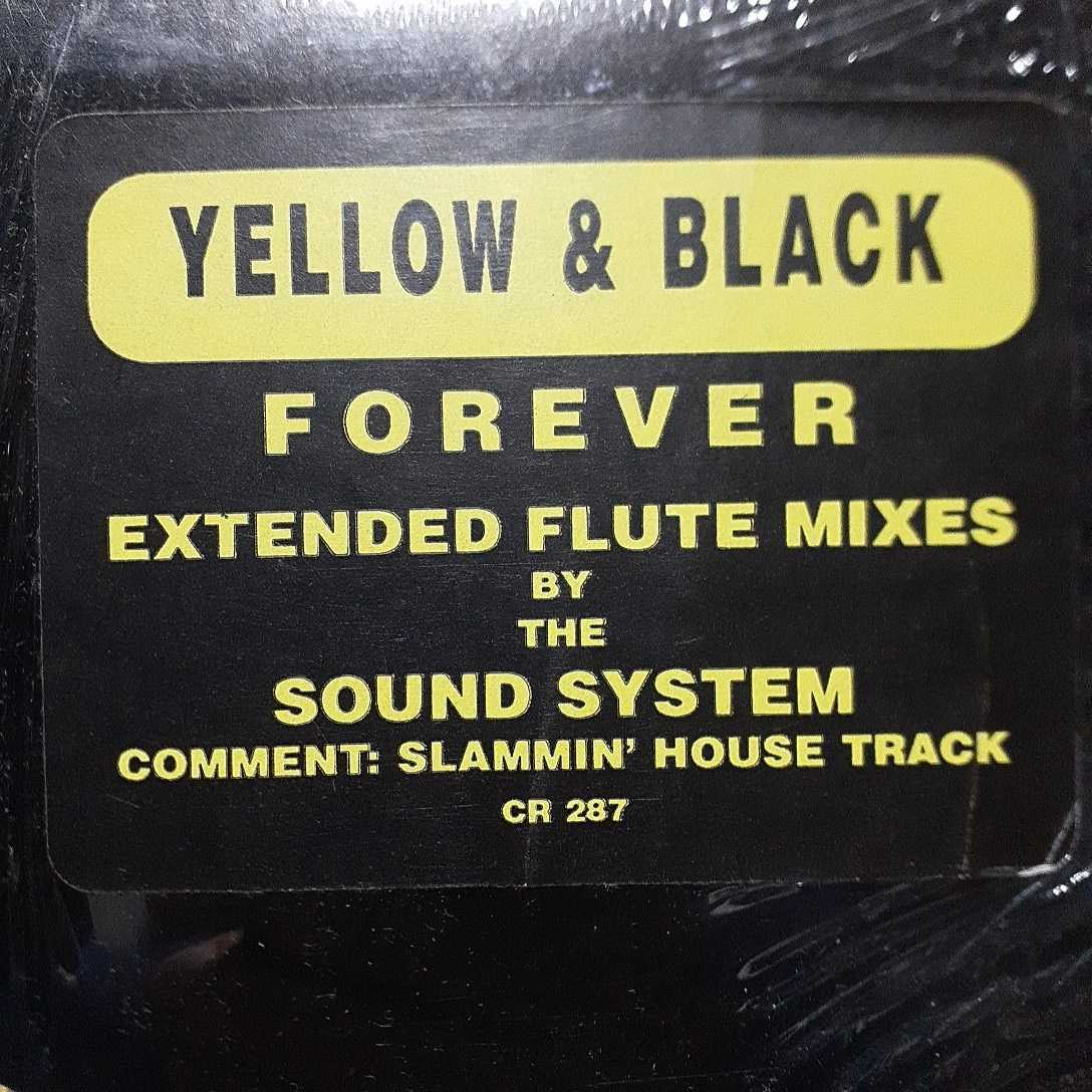YELLOW & BLACK / FOREVER /THE LOFT/FRANKIE KNUCKLES _画像4