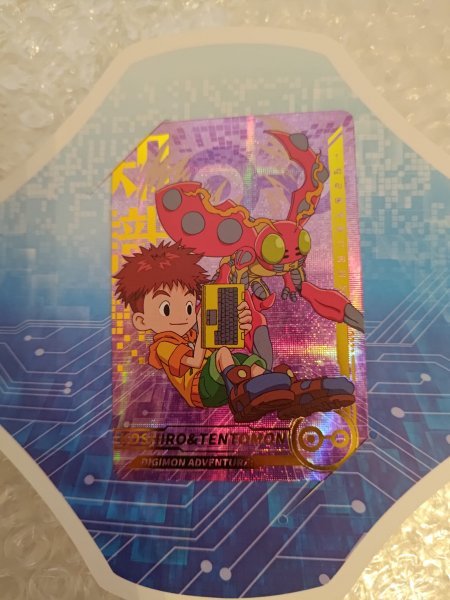 DIGIMON ADVENTURE　デジモンアドベンチャー　デジモン　泉光子郎　特典カード　　海外限定_画像1