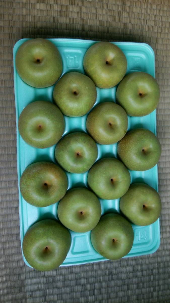 幸水梨 産地直送5kg 14個入 秀品