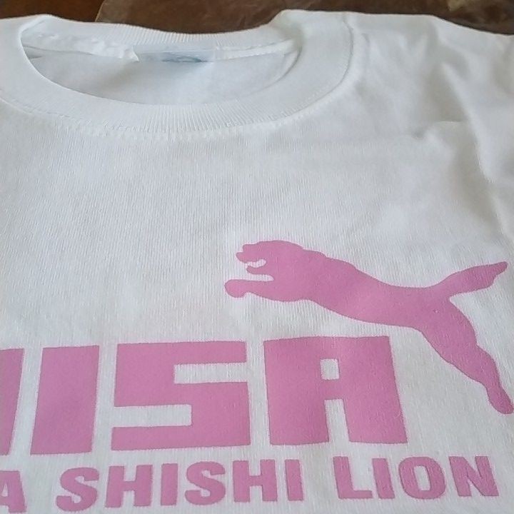 SHISA Tシャツ 沖縄