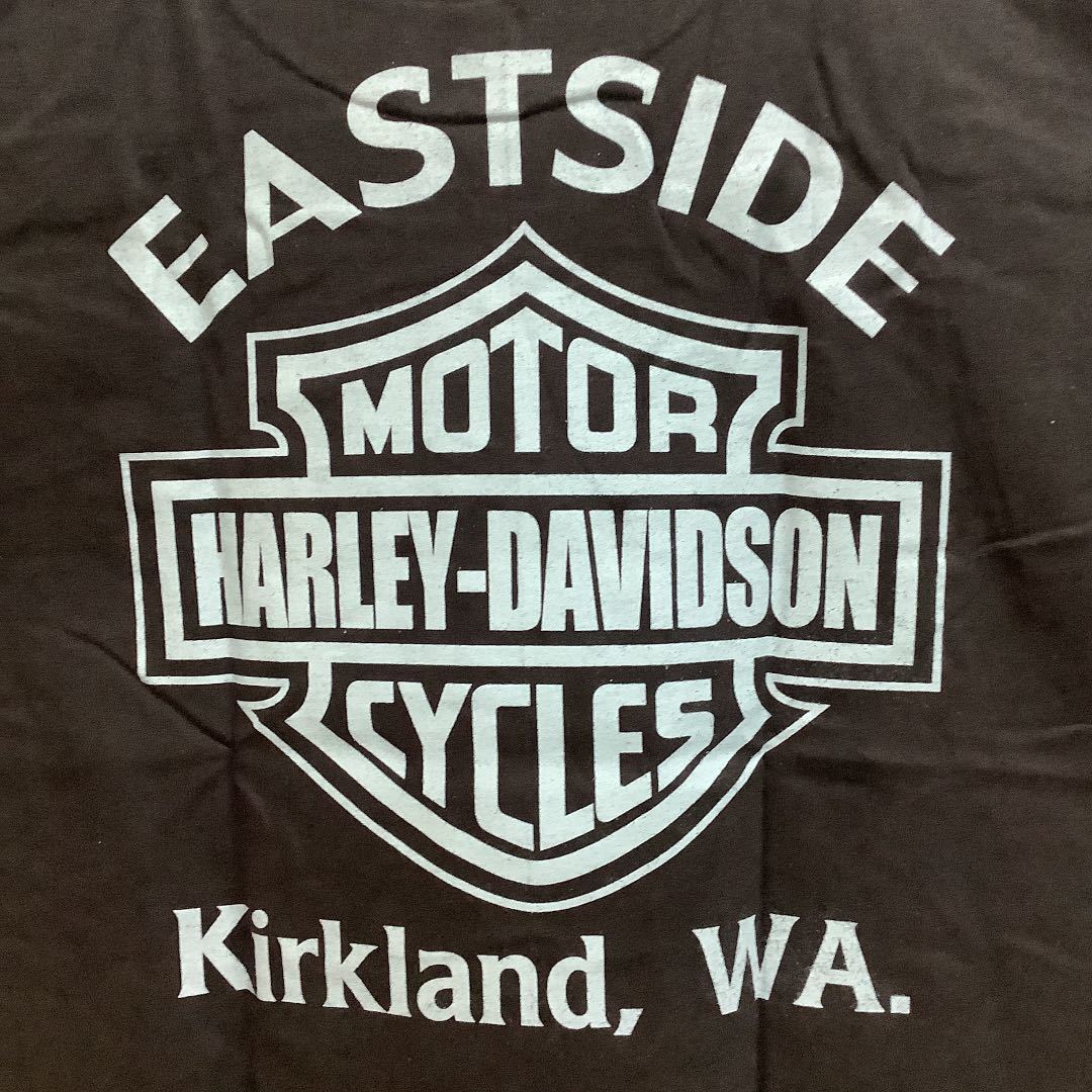 SR10B2. Tシャツ　Lサイズ　HARLEY-DAVIDSON ⑨ ハーレーダビットソン プリントTシャツ_画像8