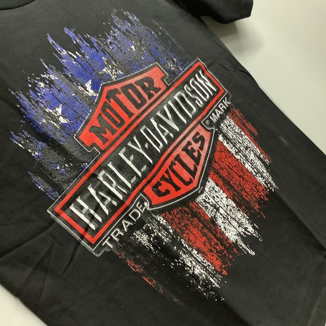 SR10B2. Tシャツ Lサイズ　HARLEY-DAVIDSON (12) ハーレーダビッドソン_画像5