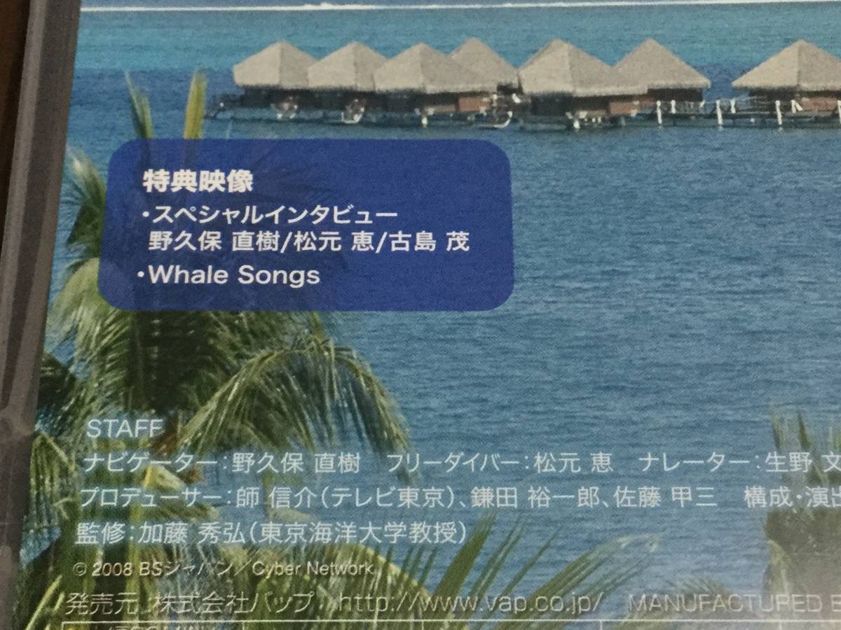 ◇キズ汚れ 動作OK◇クジラの親子と出逢った! タヒチ・ルルツ島 碧の楽園の物語 DVD 国内正規品 セル版 野久保直樹 即決_画像3