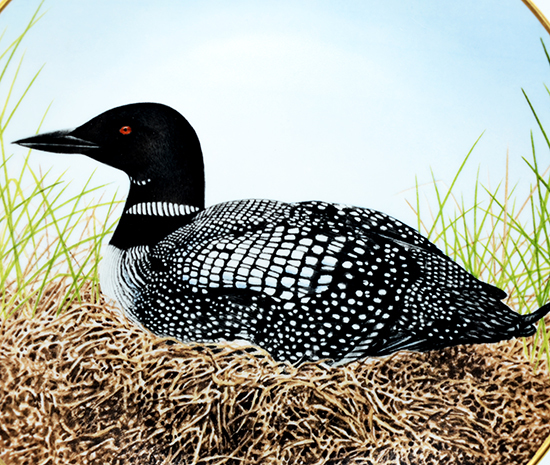 ダンバリーミント ハシグロアビ/Great Northern Diver bird plate Danbury mint 12WATERBIRD_画像2