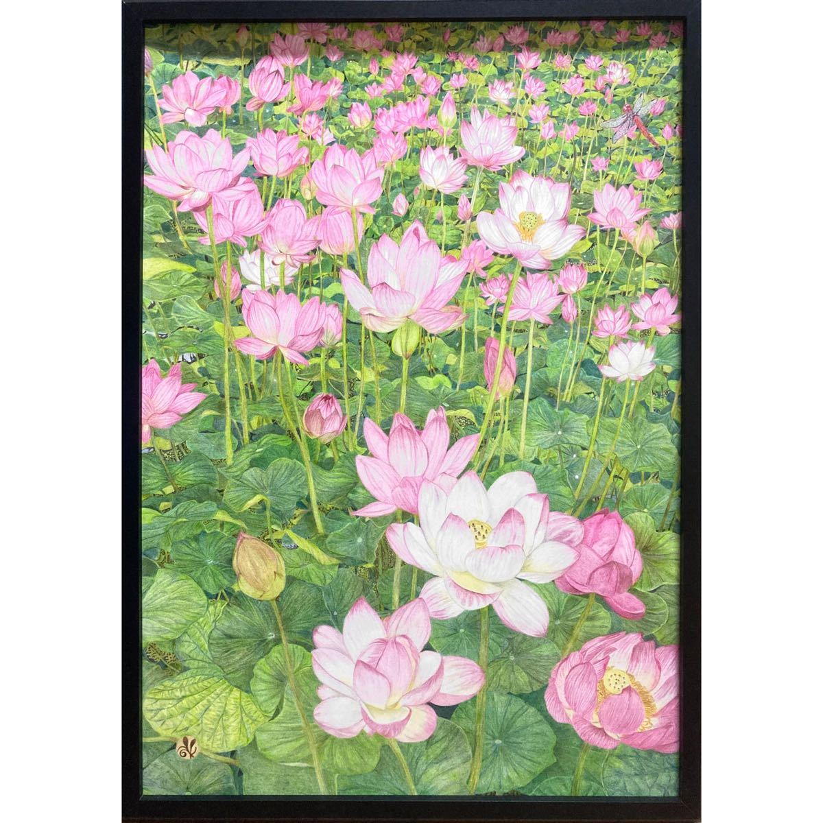 色鉛筆画「 蓮の花 」A2・額付き◇◇手描き◇原画◇風景画◇花