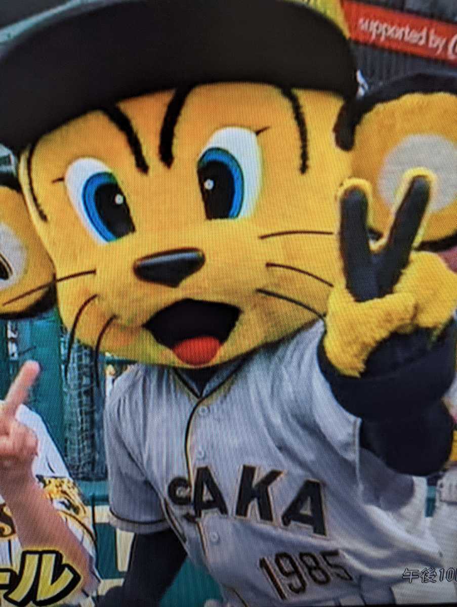 阪神 タイガース レプリカ ユニフォーム 大阪タイガース 伝統の 阪神 タイガース レプリカ ユニフォーム 大阪タイガース 伝統の