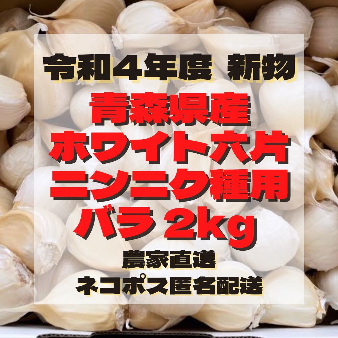 【 種用 】新物 令和4年度 青森県産 ホワイト六片 ニンニク にんにく 大きめ バラ 2kg_画像1