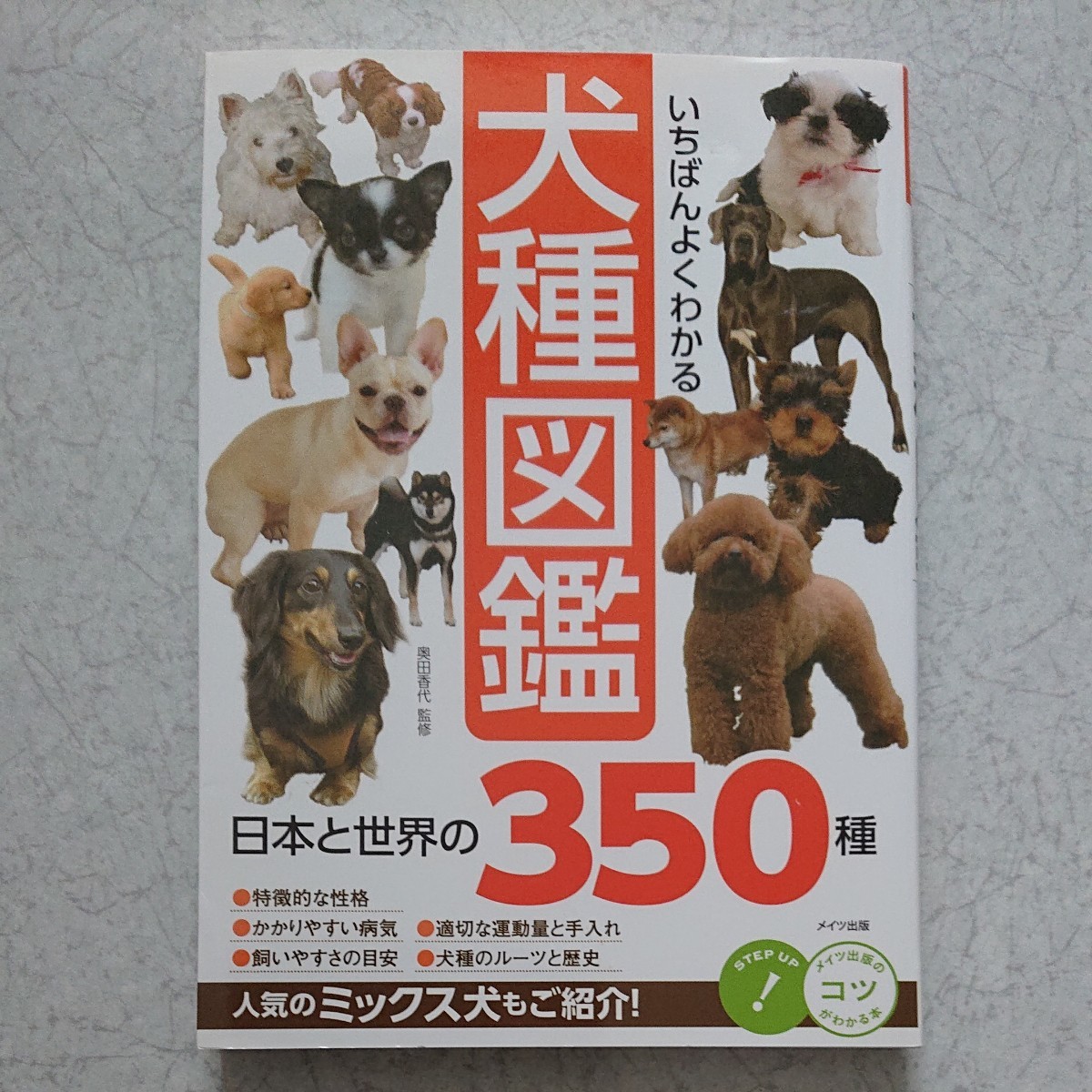 即納 大特価 いちばんよくわかる犬種図鑑 奥田香代 Www Idealmusicorp Com 即納 大特価 いちばんよくわかる犬種図鑑 奥田香代 Www Idealmusicorp Com