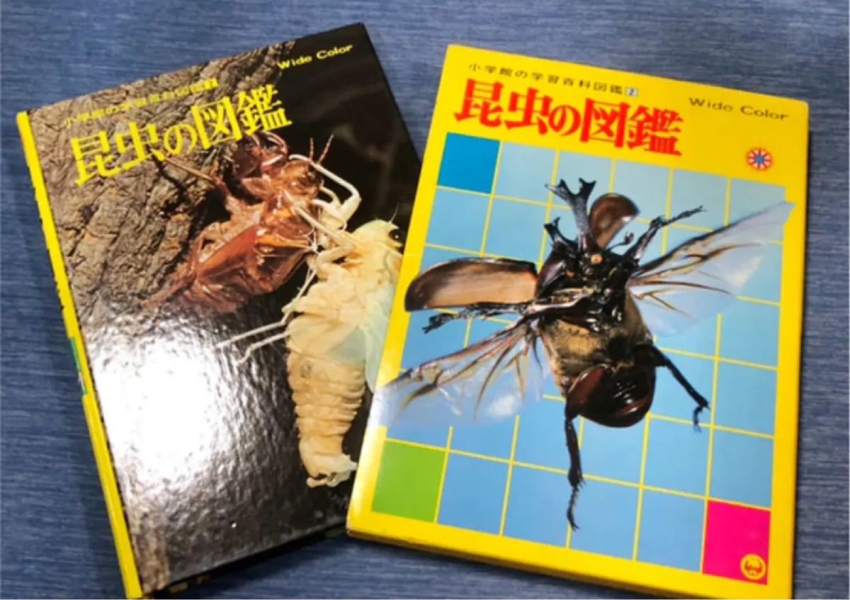 昆虫の図鑑 世界のカブトムシ ２冊セット ハードカバー付