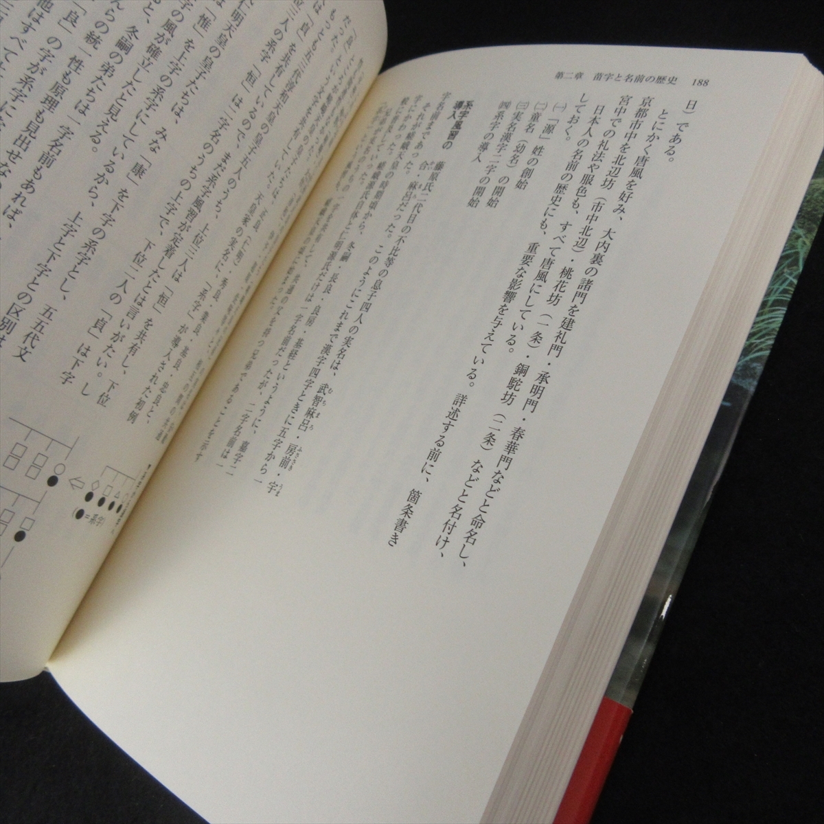 本 『苗字と名前を知る事典』 ■送185円 奥富敬之 東京堂出版 古来の姓氏から現代の多数姓・名前まで 変遷をひもとく◇_画像3