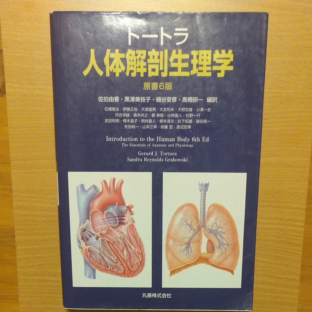 トートラ人体解剖生理学〔原書６版〕　ＧＥＲＡＲＤ　Ｊ．ＴＯＲＴＯＲＡ／Ｓａｎｄｒａ　Ｒｅｙｎｏｌｄｓ　Ｇｒａｂｏｗｓｋｉ／〔著〕
