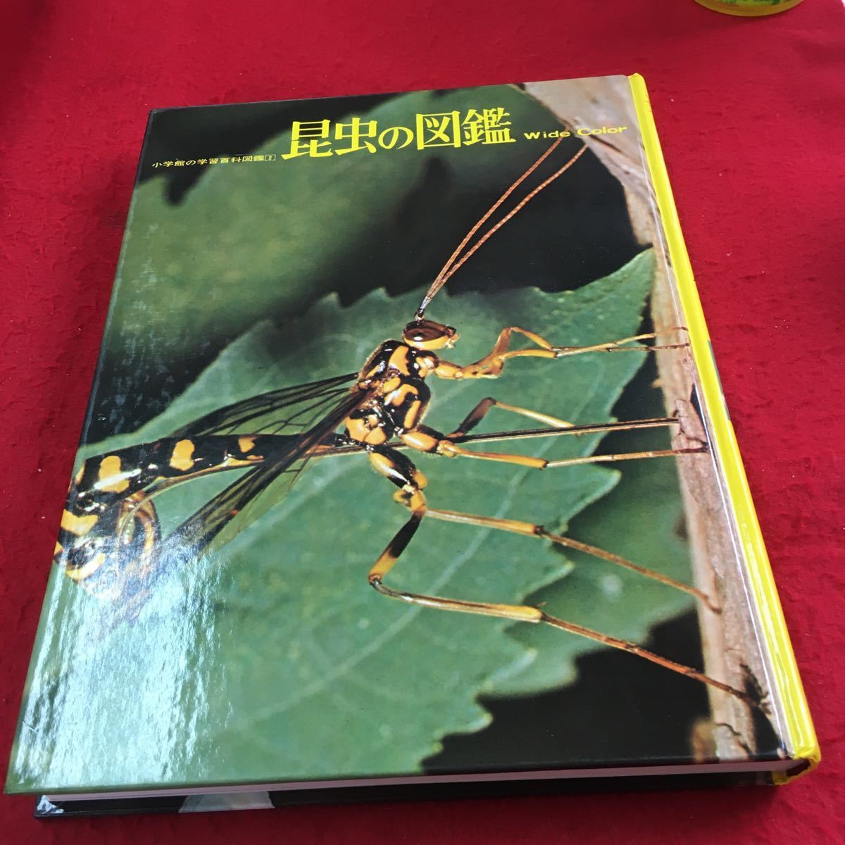 Y32-342 насекомое. иллюстрированная книга Shogakukan Inc.. .. различные предметы иллюстрированная книга 2 широкий цвет с коробкой Showa 60 год выпуск chouga жук-носорог мухи пчела черепаха msi semi и т.п. 