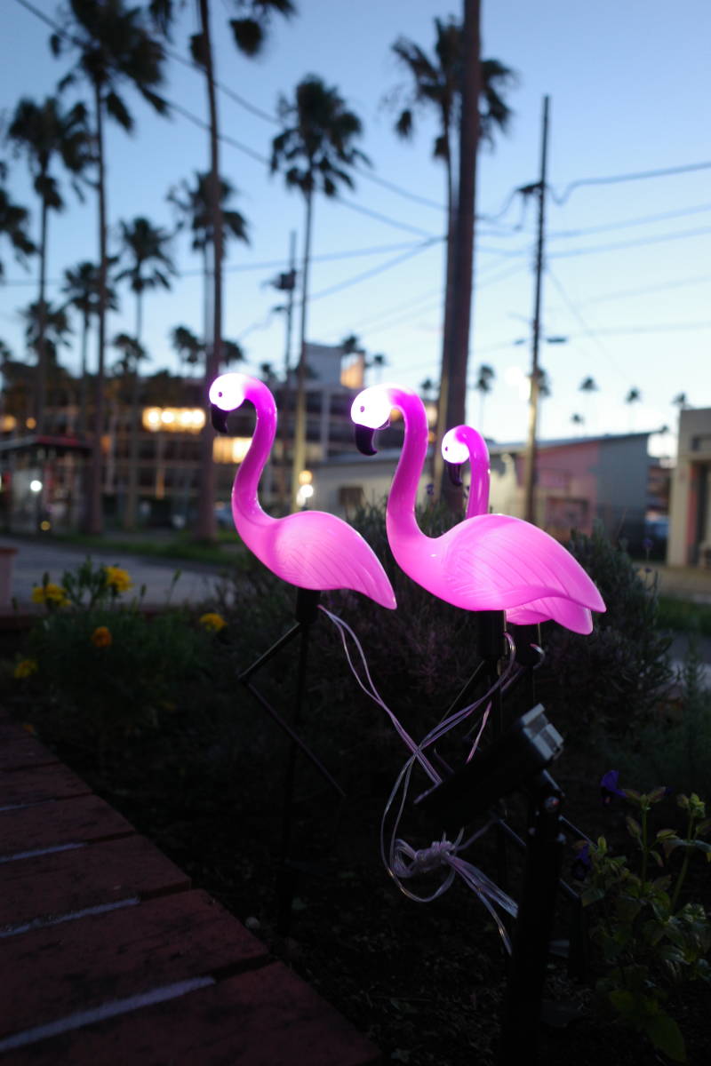  new goods pink flamingo 3 body set LED solar light gardening Setagaya base interior american house sa stay nabru eko 