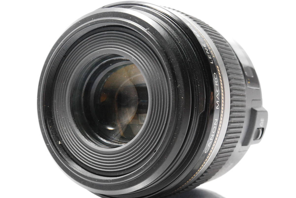 Canon 単焦点マクロレンズ EF-S60mm F2.8マクロ USM APS-C対応