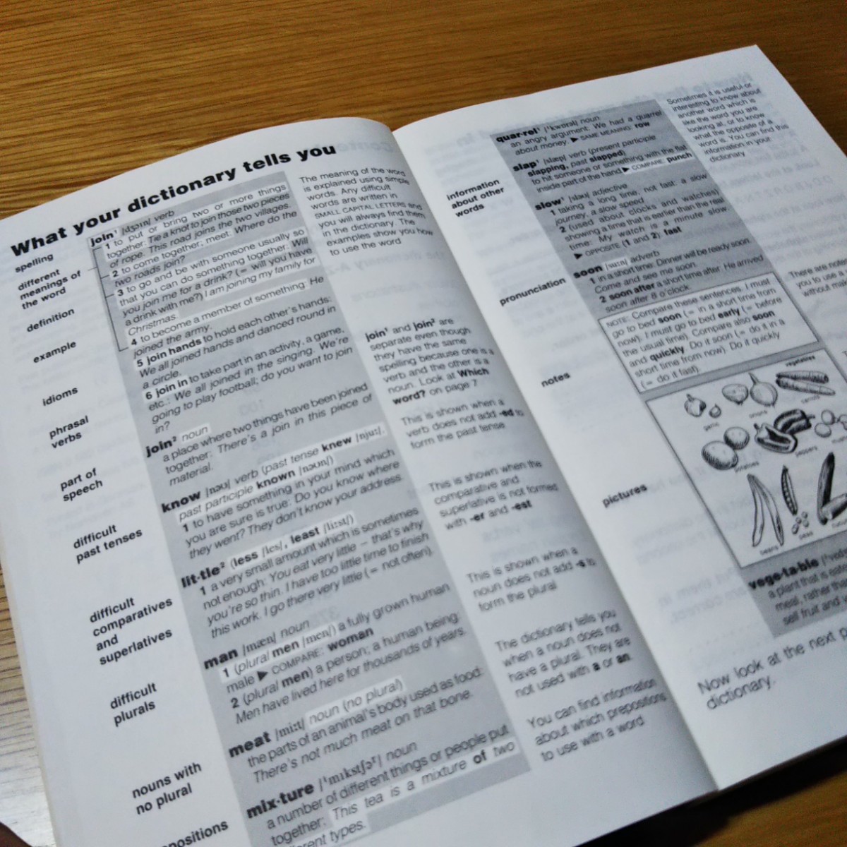LONGMAN Junior English Directoryロングマン英英辞典中学生洋書 LONGMAN Junior English Directoryロングマン英英辞典中学生洋書