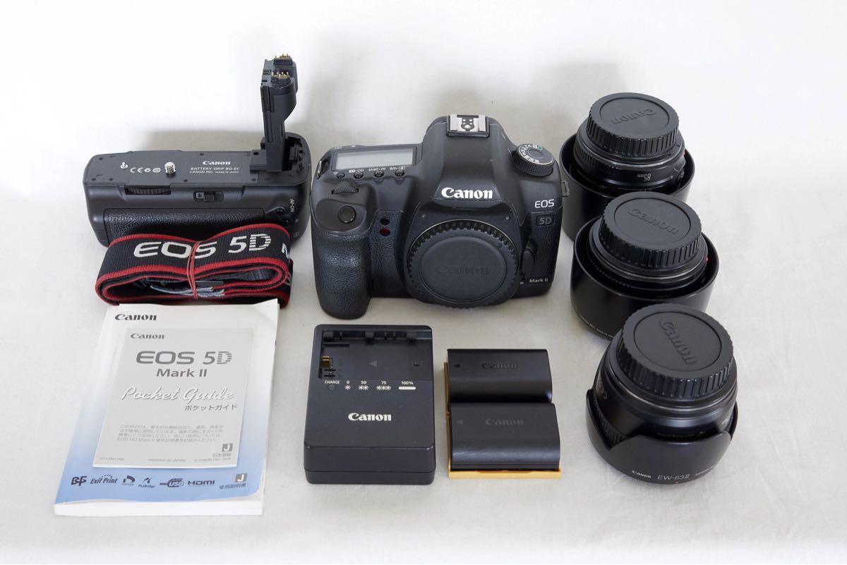 Canon EOS 5D mark ii フルサイズ一眼レフ 単レンズ3本 バッテリー