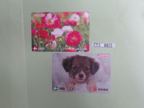 ⑦　コレクション処分　　　687　　パスネットカード　　使用済　「犬と花　　2種」　1０００円～　東急電鉄　２種　２枚　_画像1