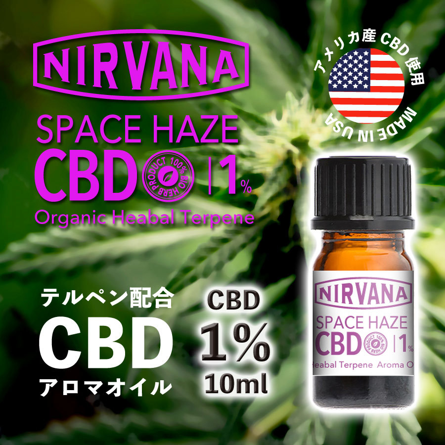 ニルヴァーナ CBD SPACE HAZE コーンタイプ インセンス お香