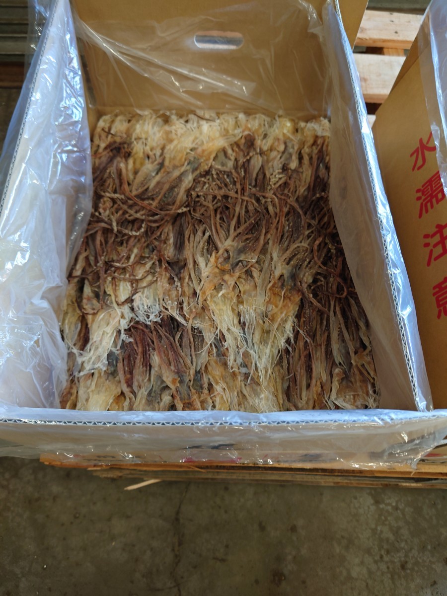 上質で快適 大好評珍味 前浜するめSS足 hideout.lk