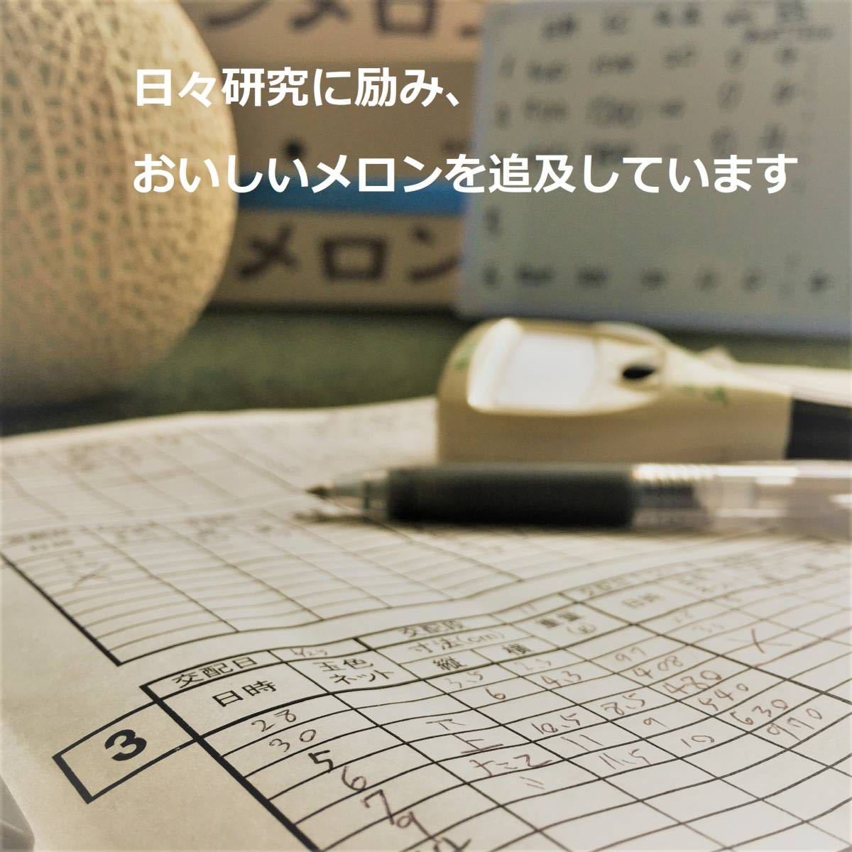 静岡県産高級メロン 5玉　ご家庭用/7.5kg以上/糖度13度以上 _画像7