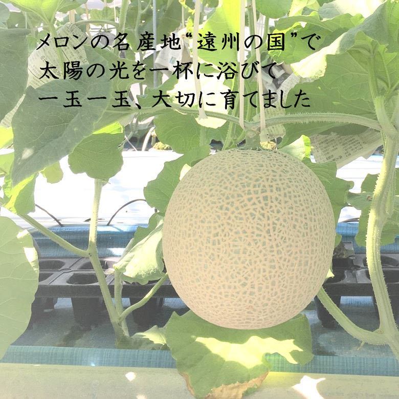 静岡県産高級メロン 5玉　ご家庭用/7.5kg以上/糖度13度以上 _画像6