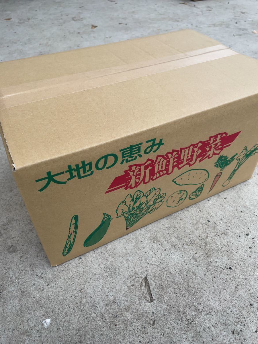 茨城県産タマネギ 8kg 訳あり　大きさおまかせで。【検索用】ジャガイモ　人参　カレー　ドレッシング　レタス　トマト　キャベツ　No.29_画像3