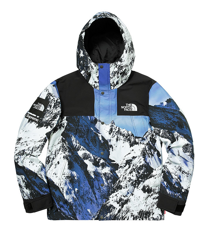 希少サイズ 国内正規 □ SUPREME × THE NORTH FACE 17AW Mountain