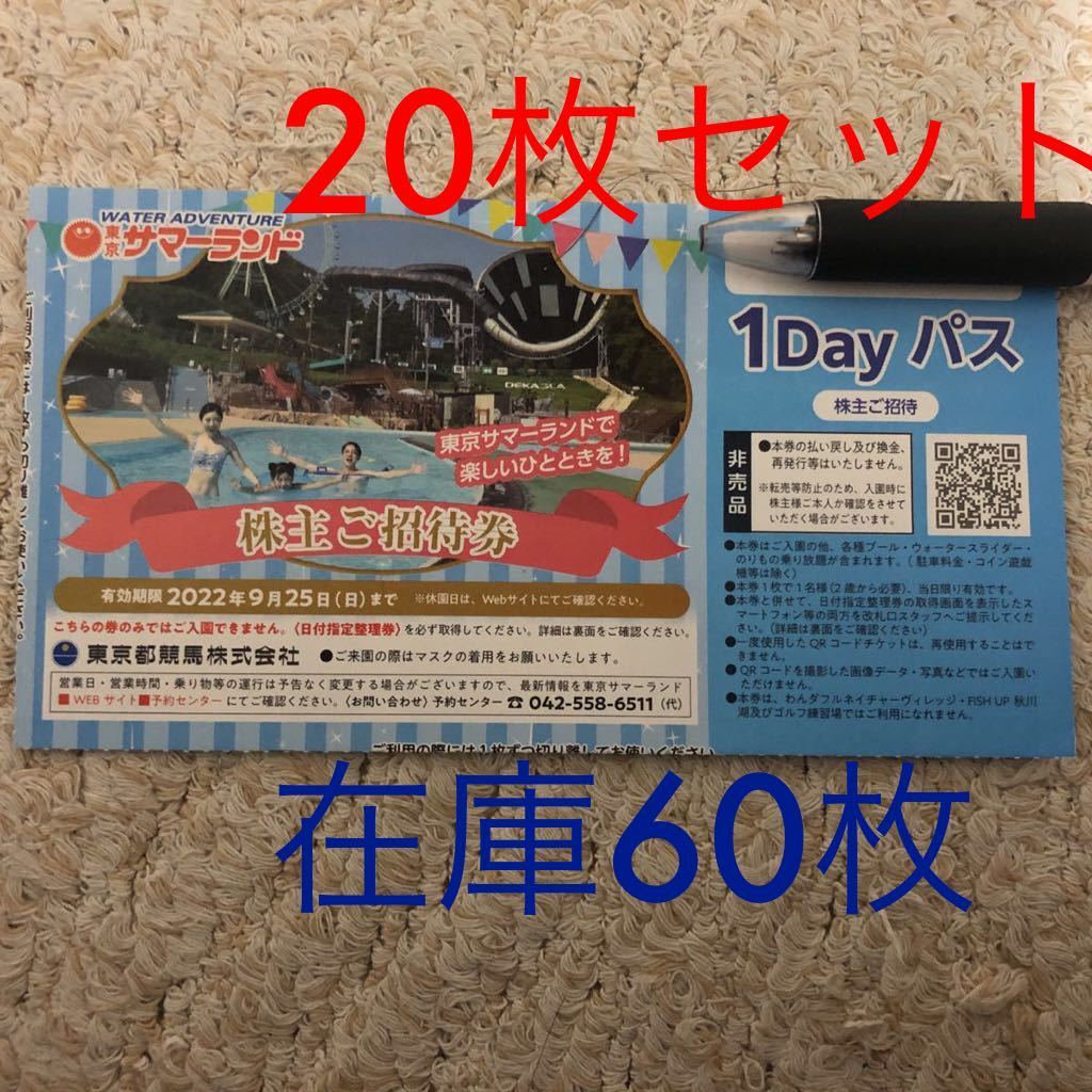 匿名発送無料 東京サマーランド株主ご招待券20枚 東京都競馬株主優待券