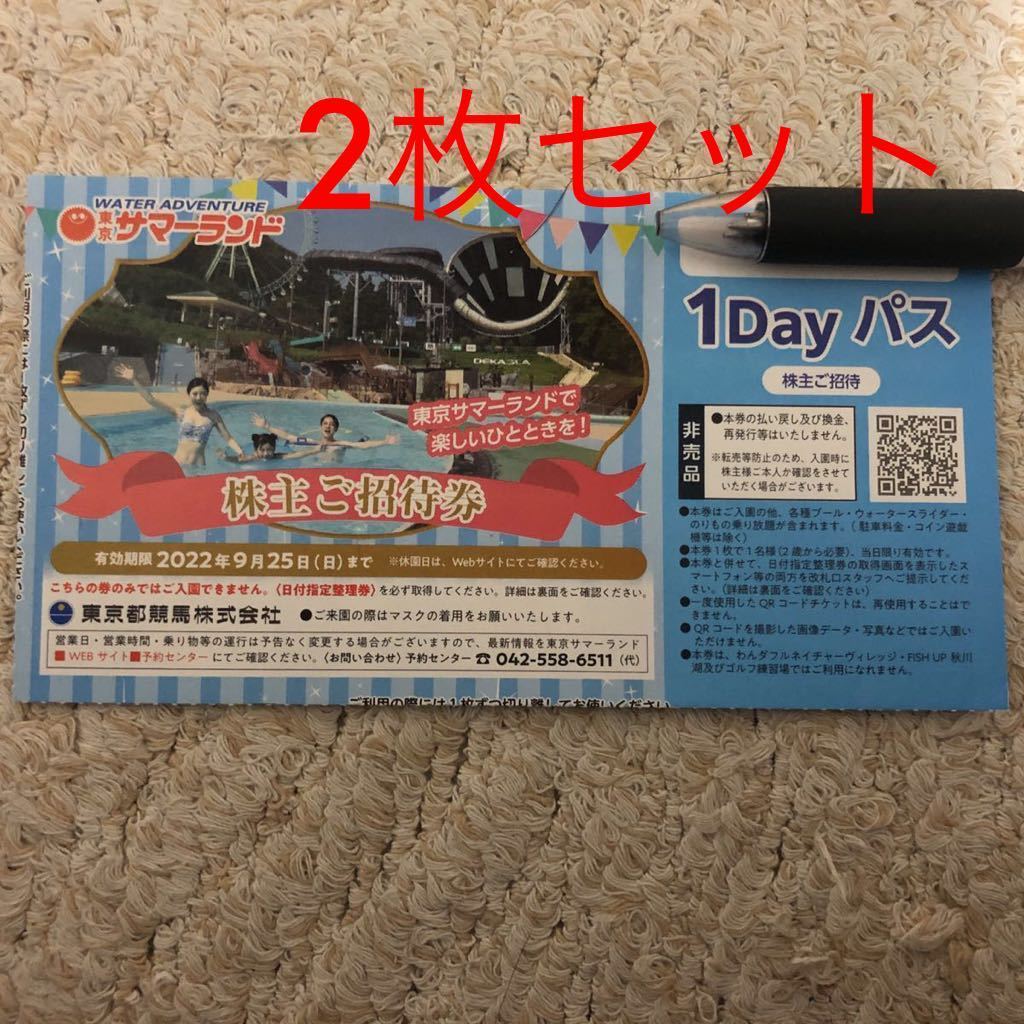 2022春夏新色】 複数可 8枚 東京サマーランド 株主ご招待券 1DAYパス