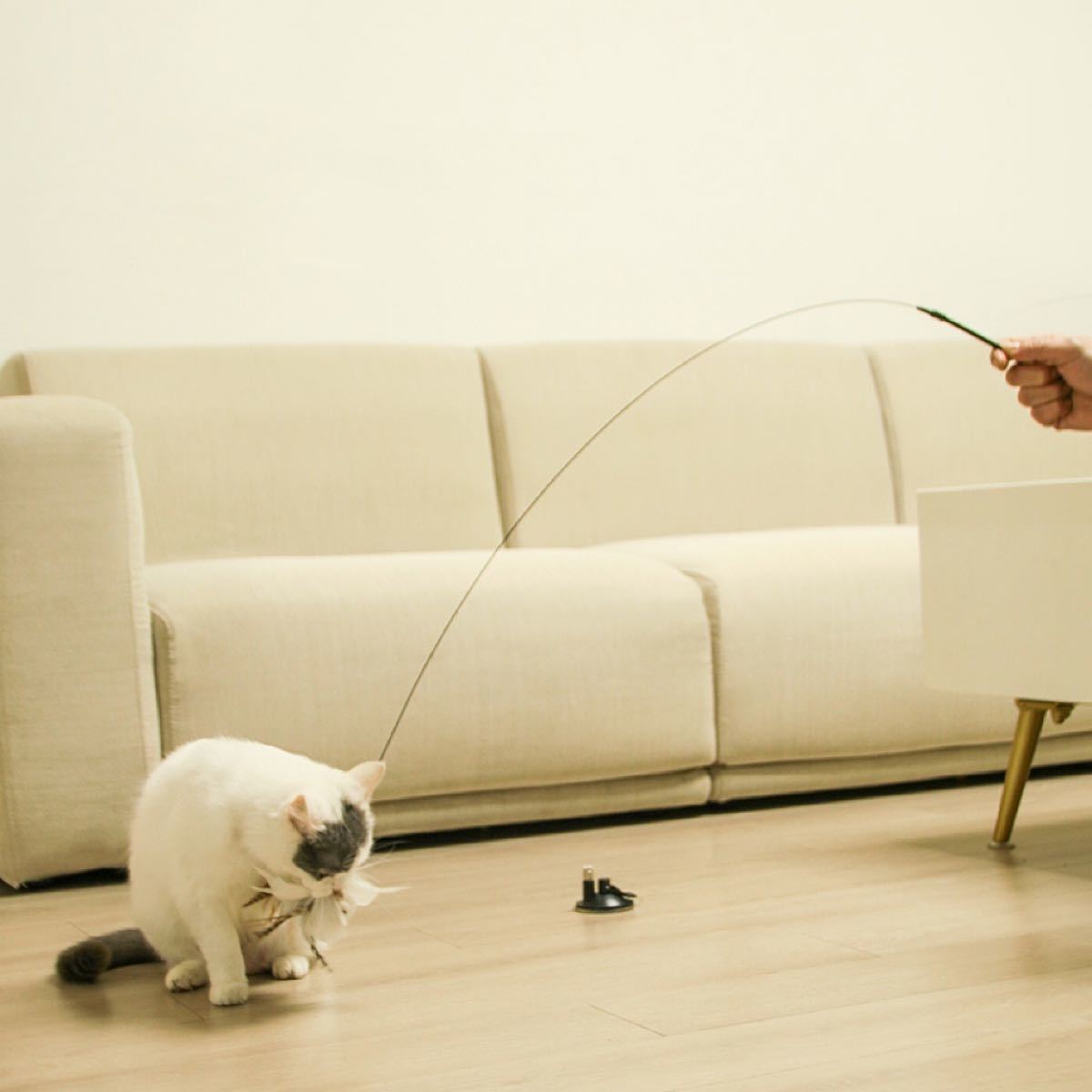 猫じゃらし 吸盤式自動 おもちゃ 固定  一人遊び ねこ玩具 子猫 羽根 鈴付き