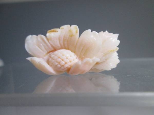 ☆本珊瑚 花彫刻のブローチ 無料発送 国内外の人気が集結 10g