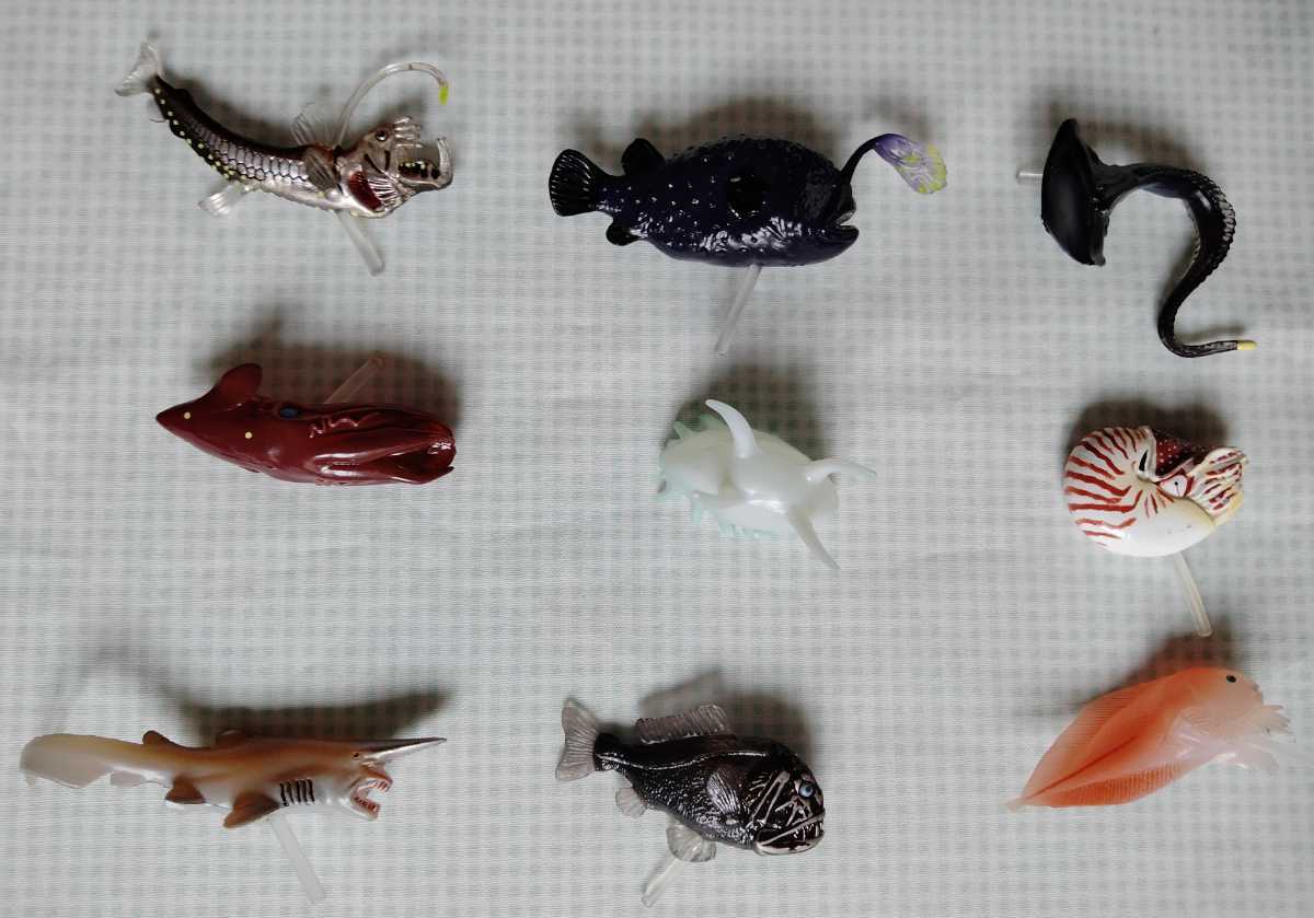 9種　深海生物フィギュアコレクション　DyDo 海洋堂_画像4
