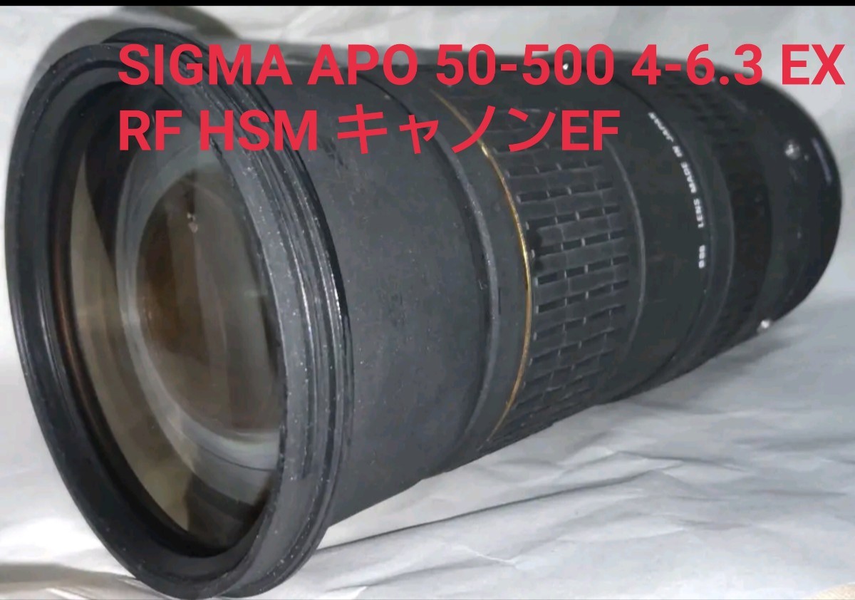 SIGMA APO 50-500 4-6.3 EX RF HSM キャノンEF　レンズ　カメラ　一眼レフ　フィルム　単焦点　望遠