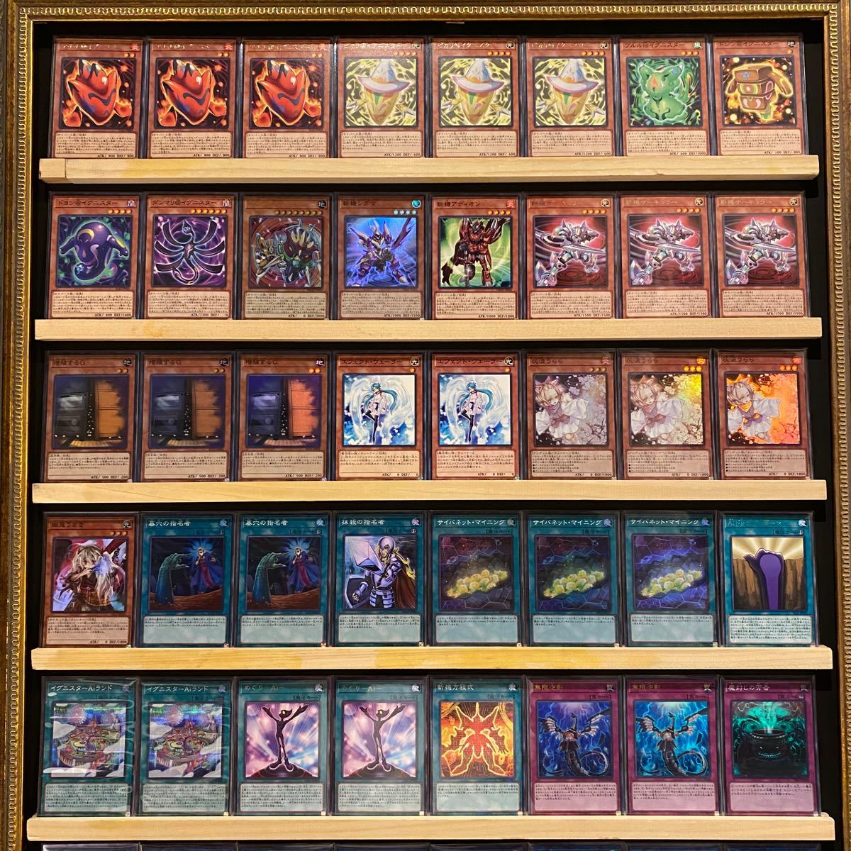 即日発送!大会用【@イグニスター】デッキ 遊戯王 | www.mclegal.info