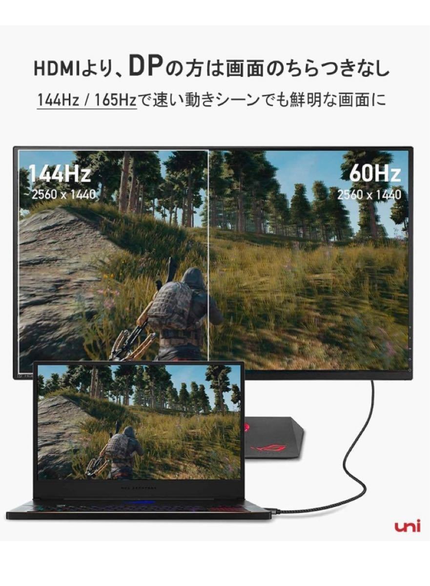 uni USB C 〜　Displayport 変換ケーブル 1m