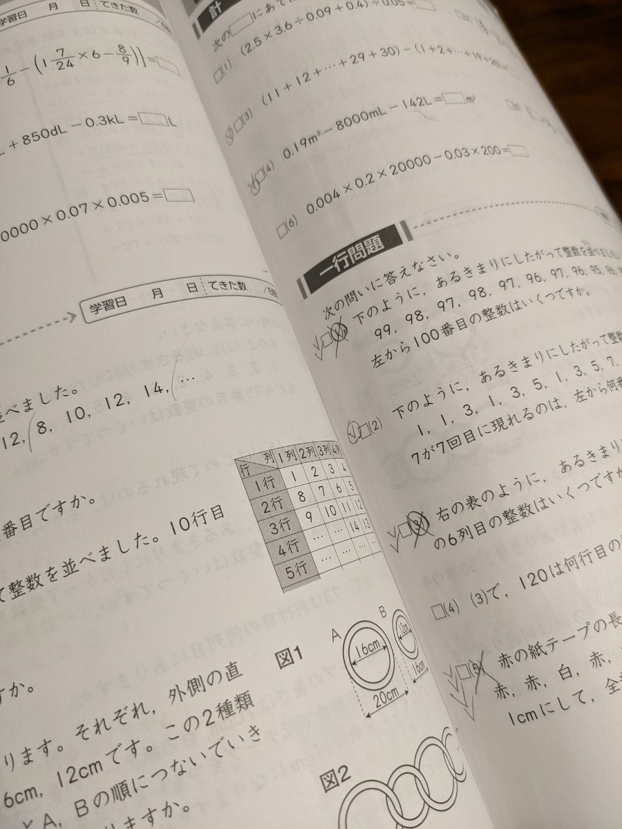 中学受験 新演習 計算日記 小6 上